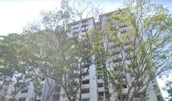 Stirling Road (Queenstown),  #348435351